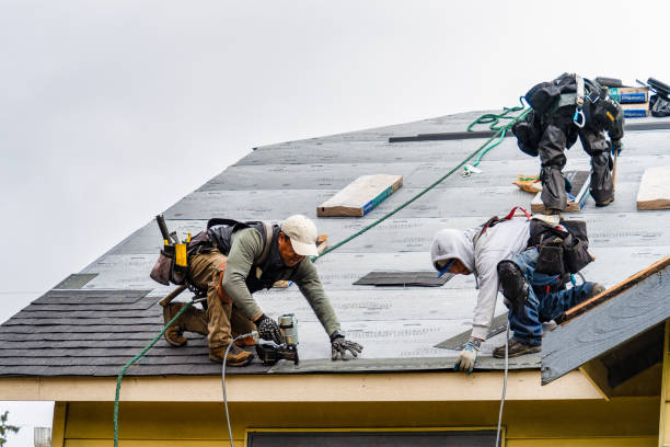 Professional Gutter Installation technician working in Memphis, NE